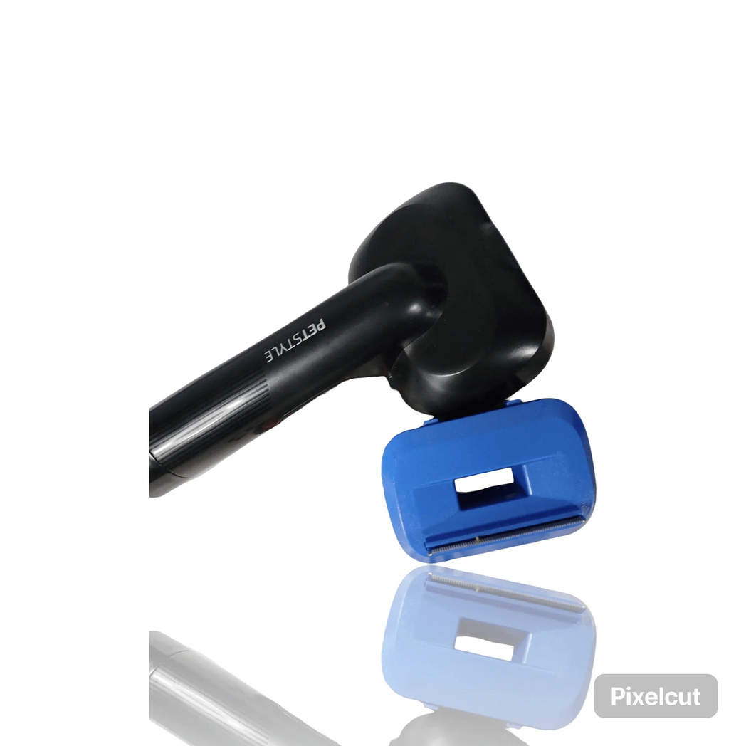 Rodillo o cepillo jaliscazo Repuesto Conga Rockstar 8500 - Original Cecotec - Cáceres Outlet