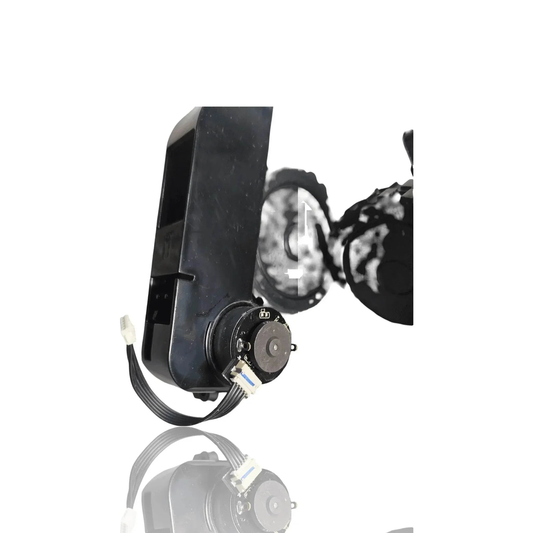 Ruedas laterales para Conga Eternal - Cáceres Outlet